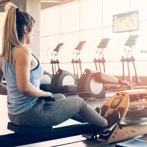 Power Fitness Sport Programme 7 Days