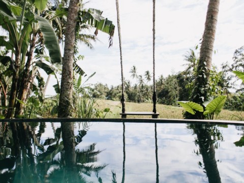 7 Days Pure Yoga Wellness