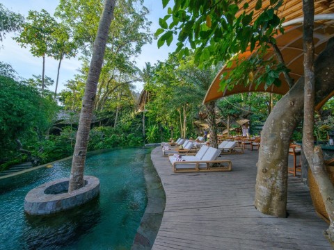 Revitalize & Renew: A Journey to Inner Purity - 5 Nights