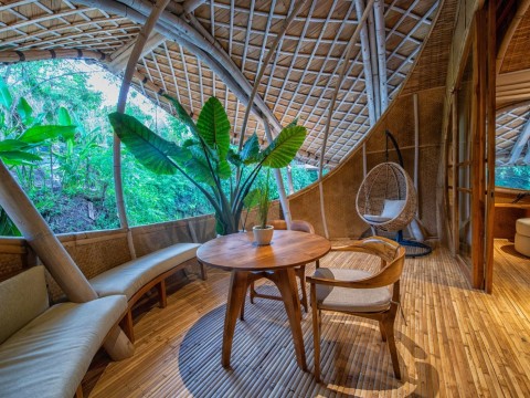 Revitalize & Renew: A Journey to Inner Purity - 7 Nights