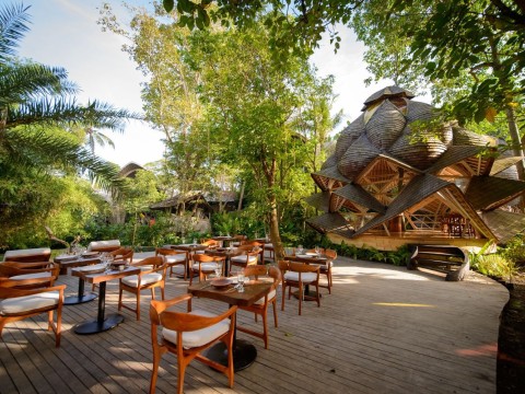 Unveil Your True Self: Healing for Mind, Body and Spirit - 7 Nights