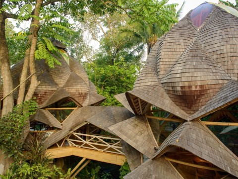 Unveil Your True Self: Healing for Mind, Body and Spirit - 7 Nights