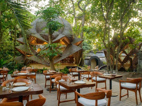 Ignite Your Inner Fire: Awaken Your Potential - 3 Nights