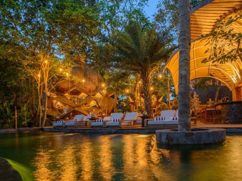 Ignite Your Inner Fire: Awaken Your Potential - 7 Nights